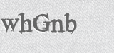 CAPTCHA code