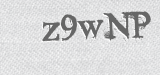 CAPTCHA code