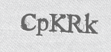CAPTCHA code