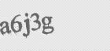 CAPTCHA code