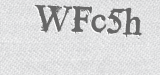 CAPTCHA code