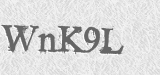 CAPTCHA code