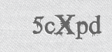 CAPTCHA code