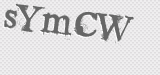 CAPTCHA code
