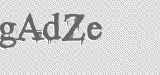 CAPTCHA code