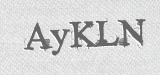 CAPTCHA code