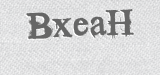 CAPTCHA code
