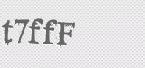 CAPTCHA code