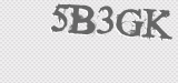 CAPTCHA code