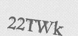 CAPTCHA code