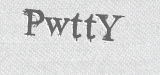 CAPTCHA code
