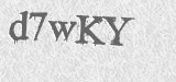 CAPTCHA code
