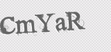 CAPTCHA code