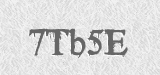 CAPTCHA code