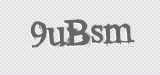 CAPTCHA code