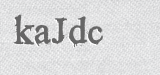 CAPTCHA code