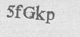 CAPTCHA code