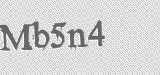 CAPTCHA code