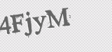 CAPTCHA code
