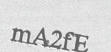 CAPTCHA code