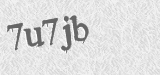 CAPTCHA code