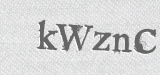 CAPTCHA code
