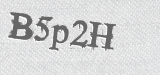 CAPTCHA code
