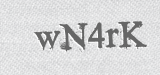 CAPTCHA code