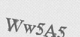 CAPTCHA code