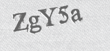 CAPTCHA code