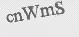 CAPTCHA code