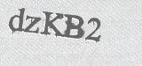 CAPTCHA code