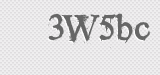 CAPTCHA code
