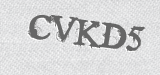 CAPTCHA code