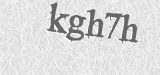 CAPTCHA code