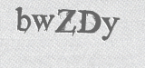 CAPTCHA code