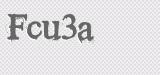 CAPTCHA code