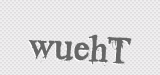 CAPTCHA code