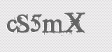 CAPTCHA code