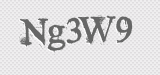 CAPTCHA code