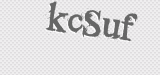 CAPTCHA code