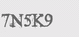 CAPTCHA code
