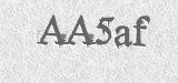 CAPTCHA code