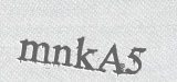 CAPTCHA code