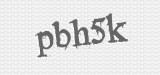 CAPTCHA code