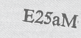 CAPTCHA code