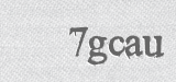 CAPTCHA code