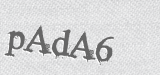 CAPTCHA code