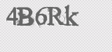 CAPTCHA code