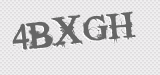 CAPTCHA code